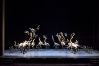 Ohd Naharin: Explosive Energie des Tiroler Ensembles