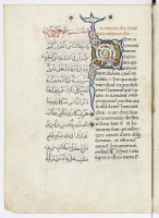 Eine Trouvaille: Übersetzung aus dem Arabischen von Flavio Mitridate für Federico di Montefeltro, Fürst von Urbino. © lizenzfrei