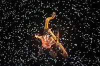 Tänzer im Flockenwirbel aus Pixel. © Laurent Philippe