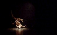 Motimaru Dance Company: "B.O.D.Y" © Motimaru Dance Company
