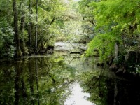 Der Everglades Nationalpark, wo Licht die Feinde in eine Falle lockt. © wikipedia / free license