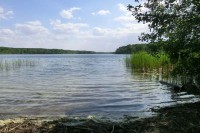 Der Sacrower See, wo Mühes Auto gefunden worden ist, heute. ©  Dreizung / Wiki / free license
