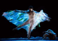 Yu-Teng Huang tanzt, geschmeidig und athletisch, sein Solo gegen die Umweltverschmutzung.