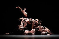 16 Tänzer:innen, ein Tanzkörper. 