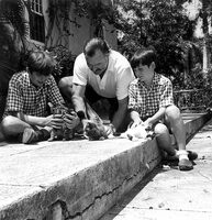 Papa Hemingway mit seinen beide jüngeren Söhnen, Patrick and Gregory in der Finca Vigía auf Kuba. © Public domain