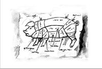 Immer wieder studiert Samson die Tafel mit den Teilen eines Schweines, um ja nichts falsch zu machen. Die Innereien sind nicht angeführt: Das Herz ist kein Fleisch. © Juri Nikitin, Buchillustration