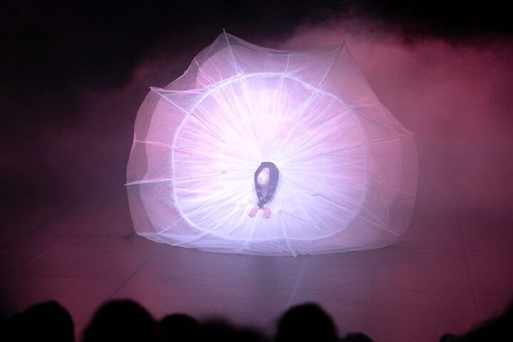 Die Ballerina in der Tutu-Wolke, fotografiert von Alexi Pelekanos.